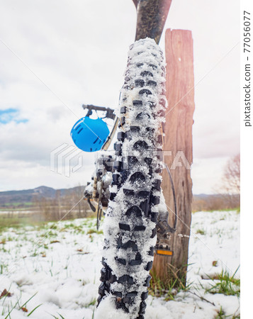Winter biking. Rear mountain Bike Tire with snow between high grips Winter biking. Rear mountain Bike Tire with snow between high grips 77056077