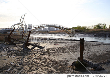 一條微腿 一條微腿 77056272