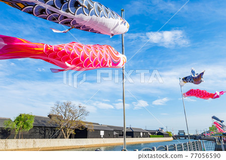 Handa Canal, swimming carp streamer <Handa City, Aichi Prefecture> Handa Canal, swimming carp streamer <Handa City, Aichi Prefecture> 77056590