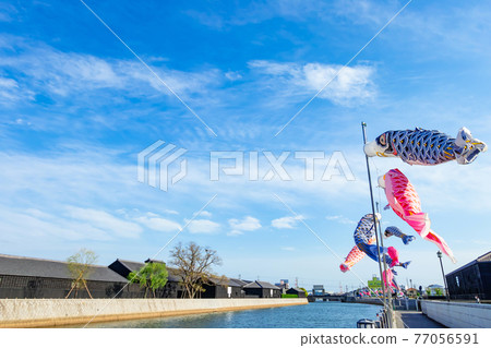 Handa Canal, swimming carp streamer <Handa City, Aichi Prefecture> 77056591
