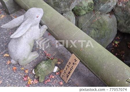 兔子和烏龜 兔子和烏龜 77057074