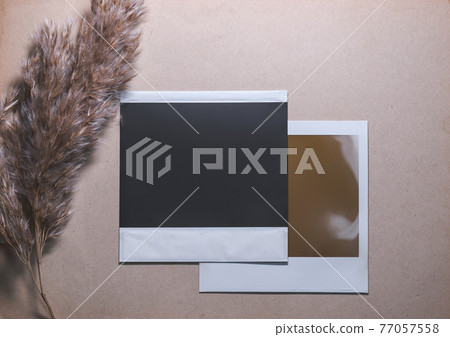 Two Blank photo frames with reed on brown background Two Blank photo frames with reed on brown background 77057558