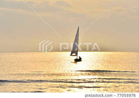 漂浮在夕陽染紅的財木座海岸的遊艇 77058976
