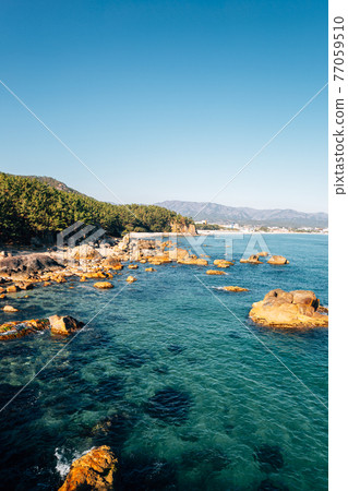 Sea view from Igari Anchor Observatory in Pohang, Korea Sea view from Igari Anchor Observatory in Pohang, Korea 77059510