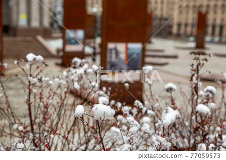 Kyiv, Ukraine - March, 22, 2020: Fragment of Independence Square. Monument to the heroes of Ukraine. 77059573
