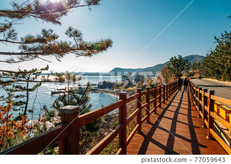 Haeoreum observatory trail and sea in Pohang, Korea 77059643