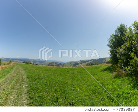 A dirt road through a green meadow. 77059887