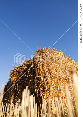 Haystack on the sky background 77059936