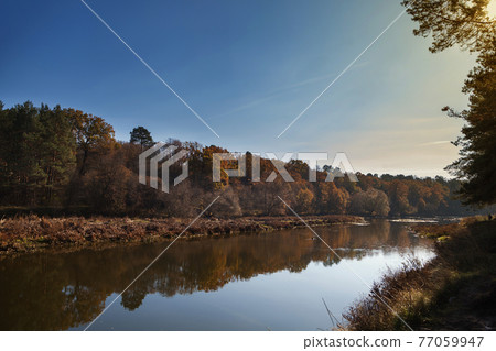 Autumn trees along a calm river. 77059947