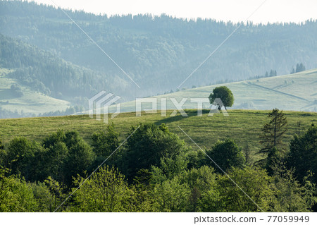 Beautiful mountain landscape in overcast weather Beautiful mountain landscape in overcast weather 77059949