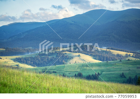 Mountain landscape and meadow illuminated by the sun Mountain landscape and meadow illuminated by the sun 77059953