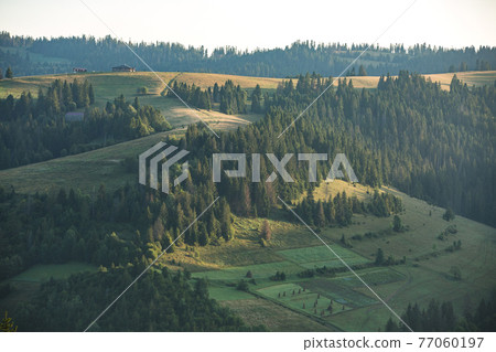 Mountain landscape and meadow illuminated by the sun Mountain landscape and meadow illuminated by the sun 77060197