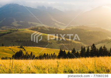 Mountain landscape and meadow illuminated by the sun Mountain landscape and meadow illuminated by the sun 77060198