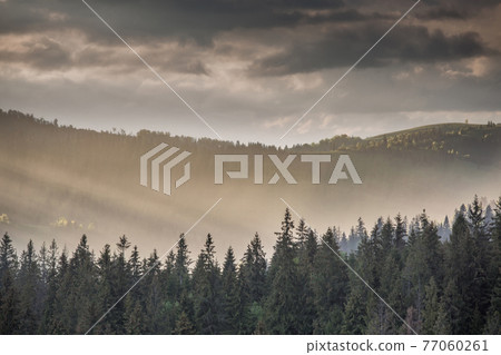Storm clouds over mountains and the forest 77060261