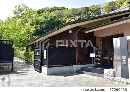 鎌倉市川北電影紀念館、綠意盎然的人行道 77060466