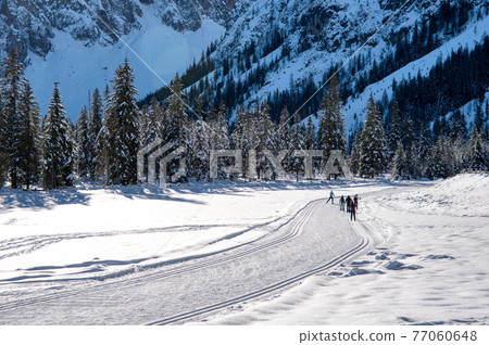 Snowy track Snowy track 77060648
