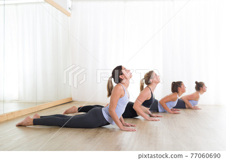 Group of young sporty women in yoga studio, practicing yoga. Healthy active lifestyle, working out indoors in gym Group of young sporty women in yoga studio, practicing yoga. Healthy active lifestyle, working out indoors in gym 77060690
