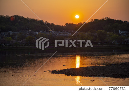 Sunrise Sunrise 77060781