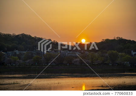 Sunrise 77060833