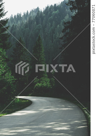 A narrow mountain road winding into dense dark green coniferous forest. A winding path among mountains and hills overgrown forests A narrow mountain road winding into dense dark green coniferous forest. A winding path among mountains and hills overgrown forests 77060871