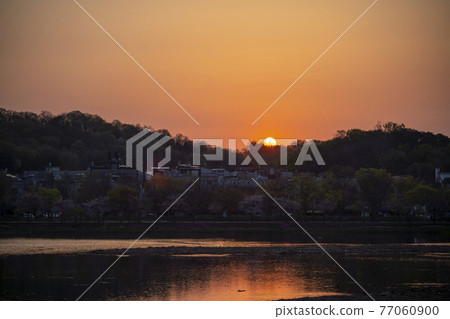 Sunrise Sunrise 77060900