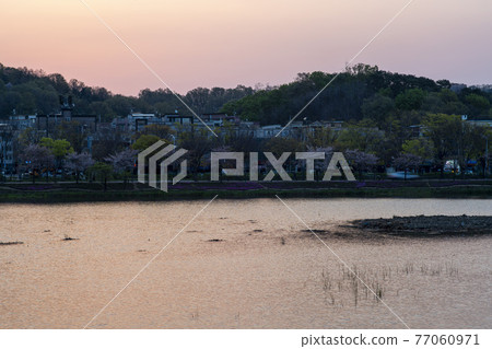 日出 日出 77060971