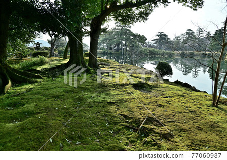 Kenrokuen Garden Green Moss Kenrokuen Garden Green Moss 77060987
