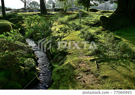 Kenrokuen Garden Green Moss Kenrokuen Garden Green Moss 77060993