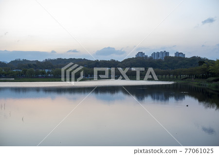 Sunrise 77061025