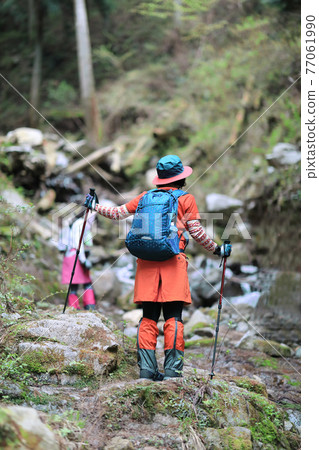 Mountain girl walking in the swamp Mountain girl walking in the swamp 77061990