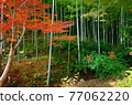 京都竹林小徑嵐山 77062220