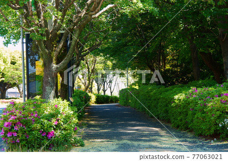 Nanjimonja街道長廊 77063021