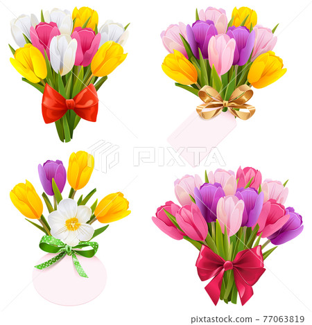 Vector Tulip Bouquet Icons Vector Tulip Bouquet Icons 77063819