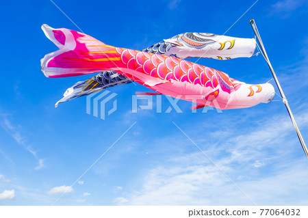 鯉魚流光圖像 77064032