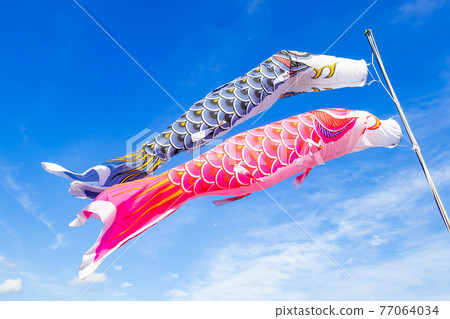 Carp streamer image Carp streamer image 77064034