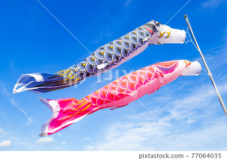 Carp streamer image Carp streamer image 77064035