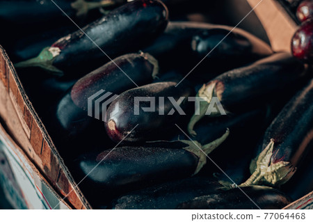 Fresh organic healthy eggplant vegetables in plastic boxes armers market. Fresh organic healthy eggplant vegetables in plastic boxes armers market. 77064468