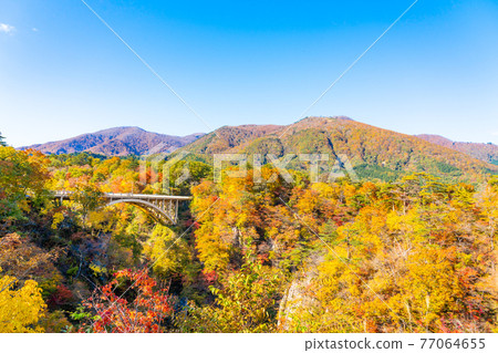 [Miyagi Prefecture] Naruko Gorge with refreshing blue sky and bright autumn leaves 77064655