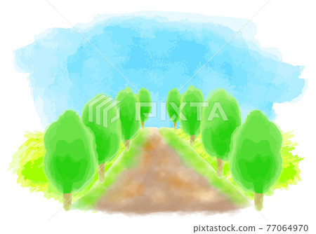 綠樹成蔭的大道的水彩插圖 77064970
