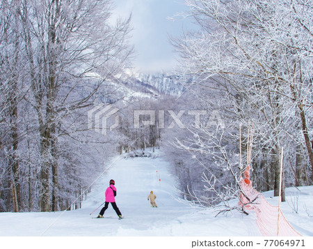 白馬岩岳雪原岩岳後碗觀霧路線 77064971