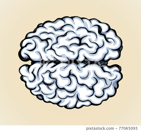 Brain. Vector drawing icon sign 77065093