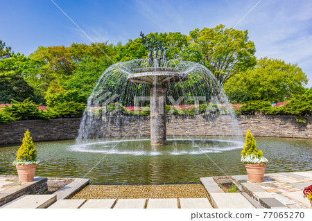 Showa Kinen Park in Spring, Tokyo Showa Kinen Park in Spring, Tokyo 77065270