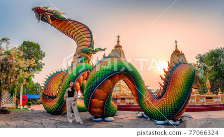 Rainbow carve serpent or colorful Thai Naga and asian woman standing in the sunset at Wat Phra That Nong Bua temple 77066324