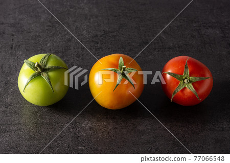 Different color tomatoes on black background Different color tomatoes on black background 77066548