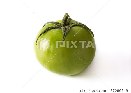 Fresh green tomato isolated on white background Fresh green tomato isolated on white background 77066549