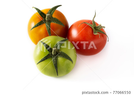 Different color tomatoes isolated on white background Different color tomatoes isolated on white background 77066550