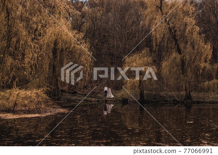 married couple on coast lake river in nature. Aerial drone top view 77066991
