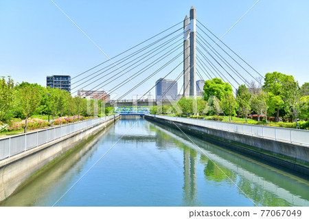 從末廣橋/仙台堀（東京都江東區）看木場公園大橋 [2021.4] 77067049