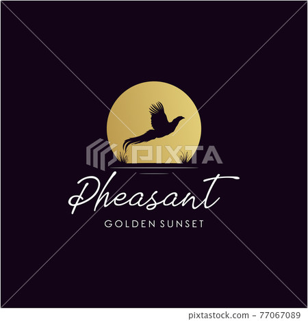 silhouette of pheasant logo design with golden sunset	 77067089