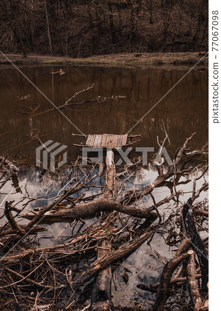 small old wooden destroyed pier on the river small old wooden destroyed pier on the river 77067098